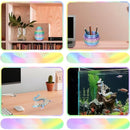 🎁Myth Fragment Dragon-Limited Edition