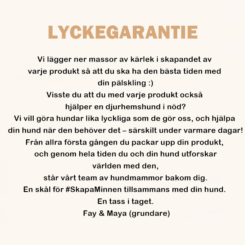 🧊Kylmatta för hundar (4x effektivare)