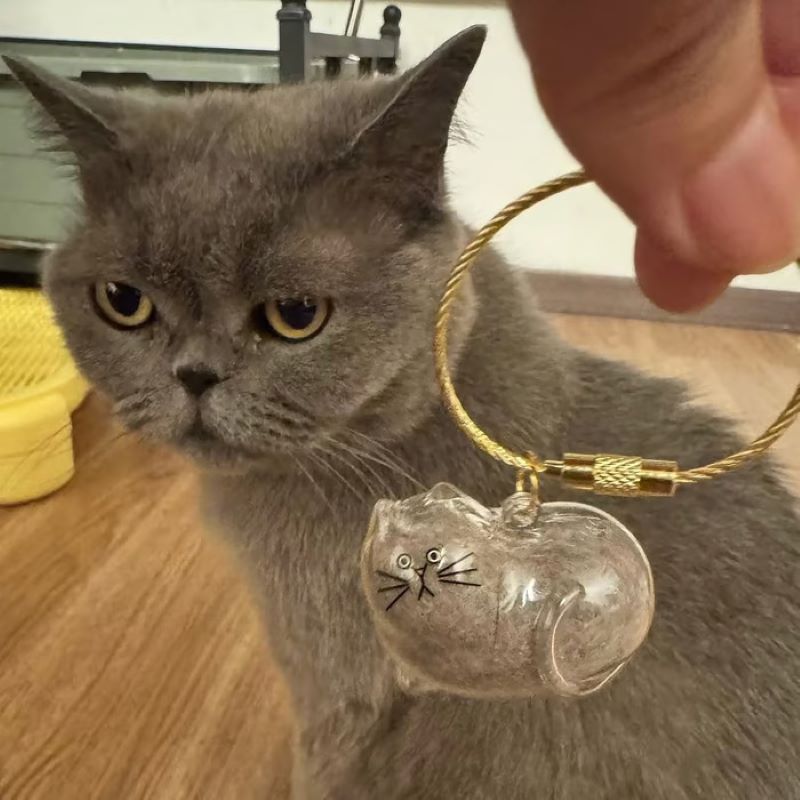 😽Söt katthårsmedaljong🎁