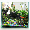 Trädgårdsdekoration - Glödande sten i blandade färger