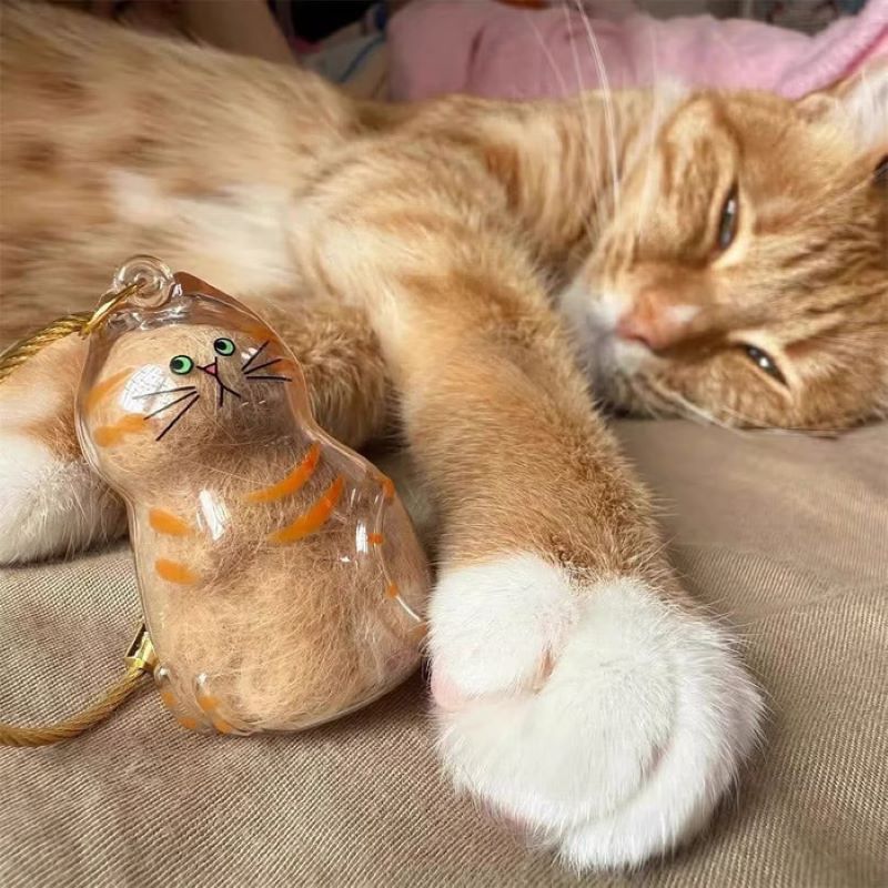 😽Söt katthårsmedaljong🎁