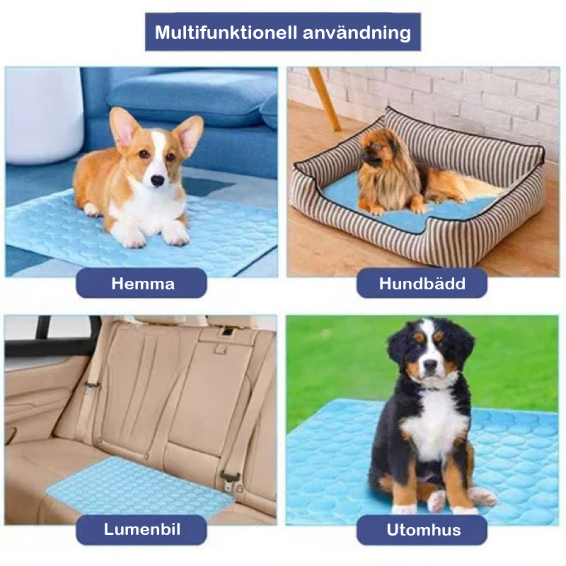 🧊Kylmatta för hundar (4x effektivare)