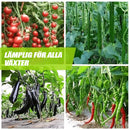 🍀Magiskt hydroponiskt flytande gödselmedel🌱