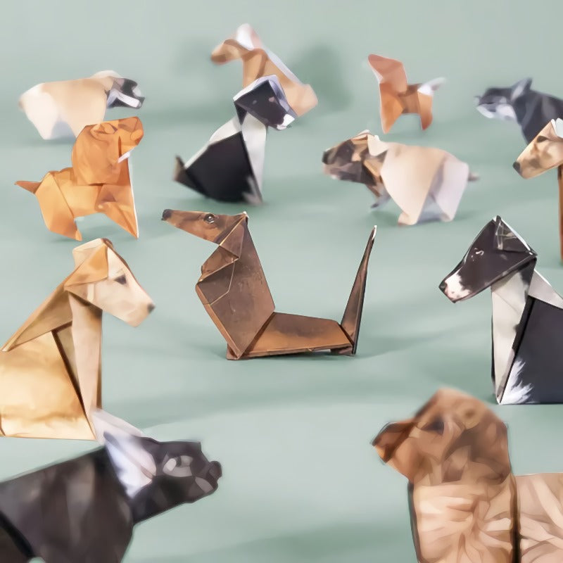 🐱 Papier pliable 5 minutes (50 pièces) : sans colle ni ciseaux