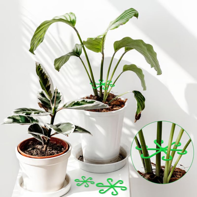 🌿Stödset för växtstammar