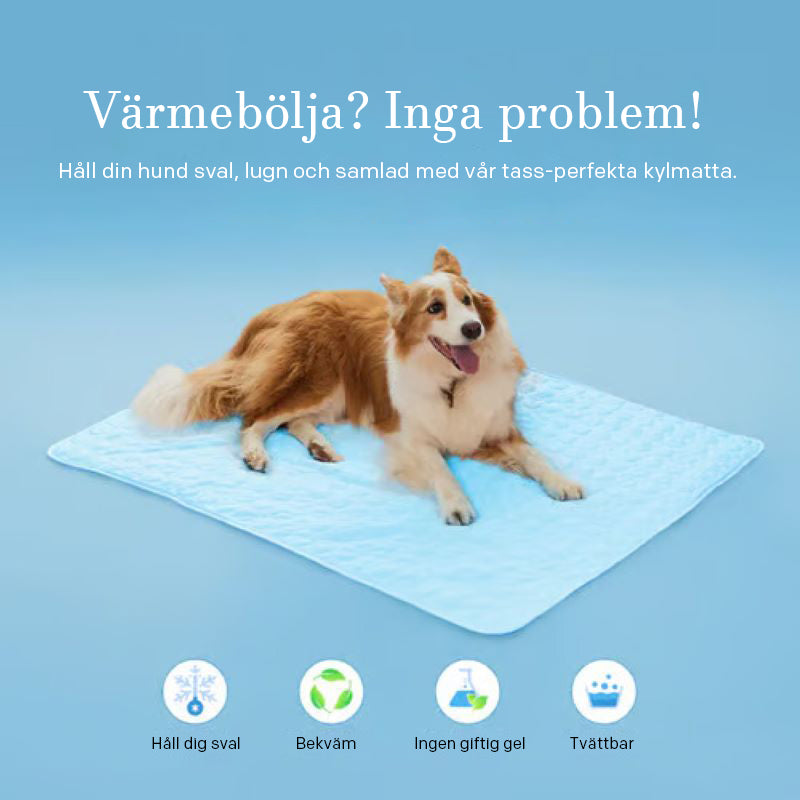 🧊Kylmatta för hundar (4x effektivare)