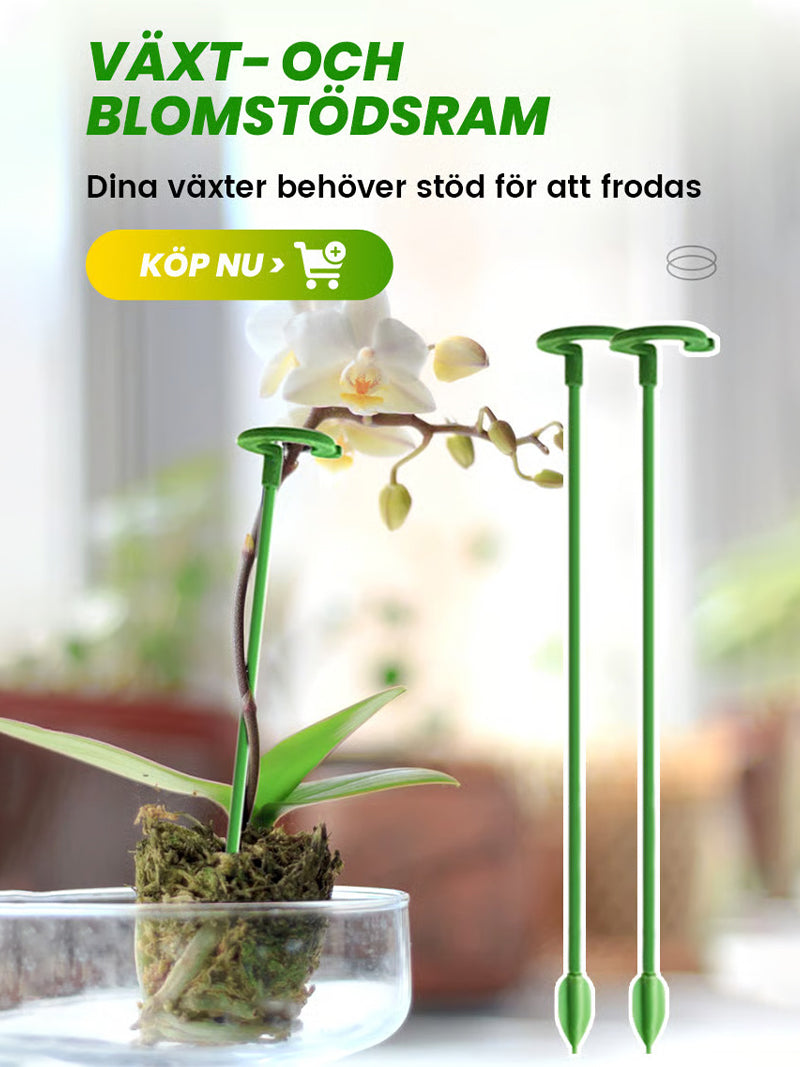 Trädgårdsblommor Blomstöd Enkelstångsstöd