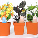 Automatisk vattnare för krukväxter för inomhus- och utomhusbruk - fågelform （2 st）