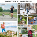 🔥Handsfree hundkoppel med dragkedja