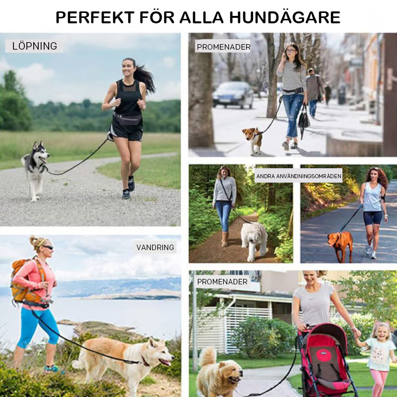 🔥Handsfree hundkoppel med dragkedja