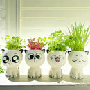 Mini katt skrivbordsblomkruka