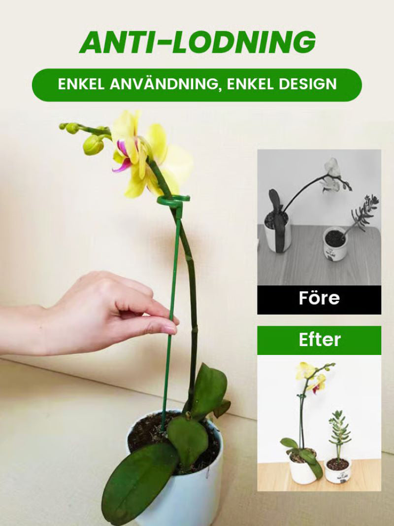 Trädgårdsblommor Blomstöd Enkelstångsstöd