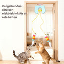 Den automatiska jojon som gör katter galna