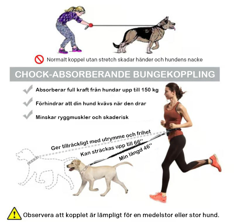 🔥Handsfree hundkoppel med dragkedja