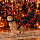 Halloween-kattdräkten