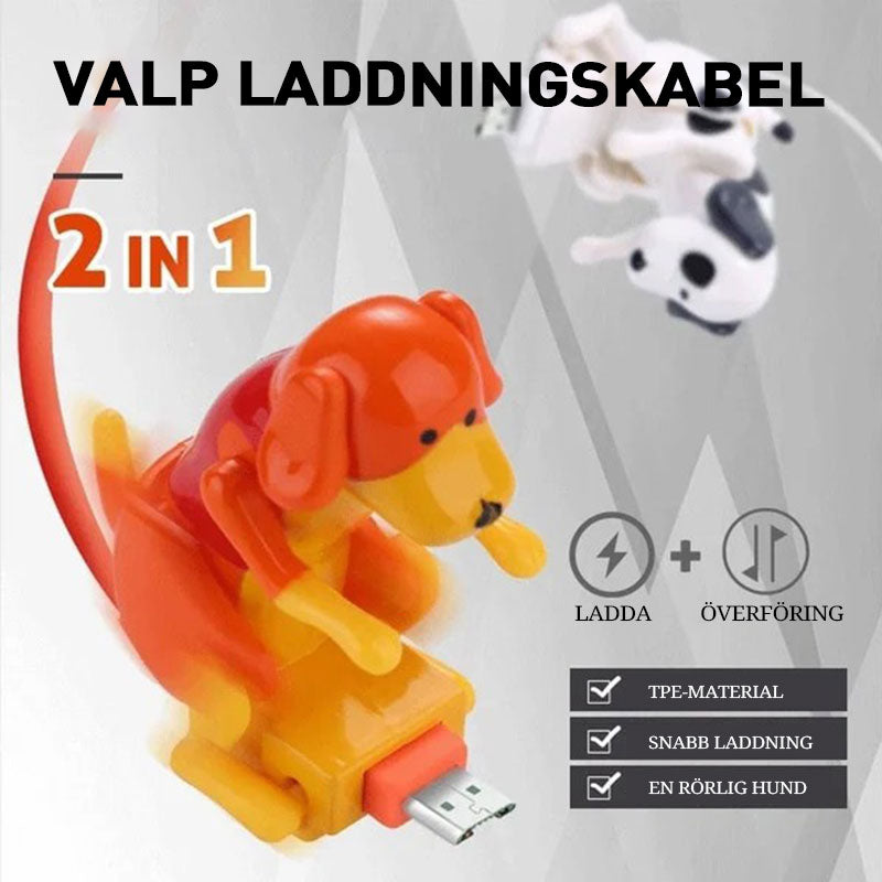 laddningskabel för valp