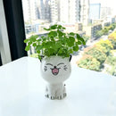 Mini katt skrivbordsblomkruka