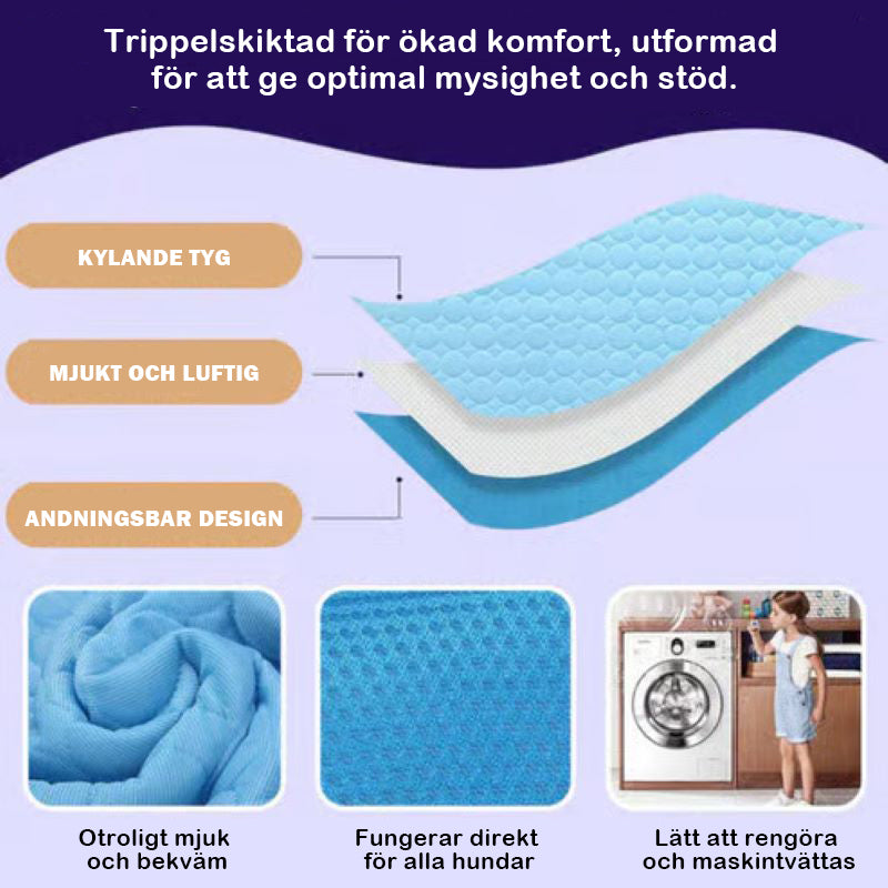 🧊Kylmatta för hundar (4x effektivare)