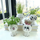 Mini katt skrivbordsblomkruka