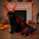 Halloween-kattdräkten