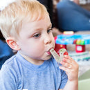 Interaktivt och roligt – fågelvisslor