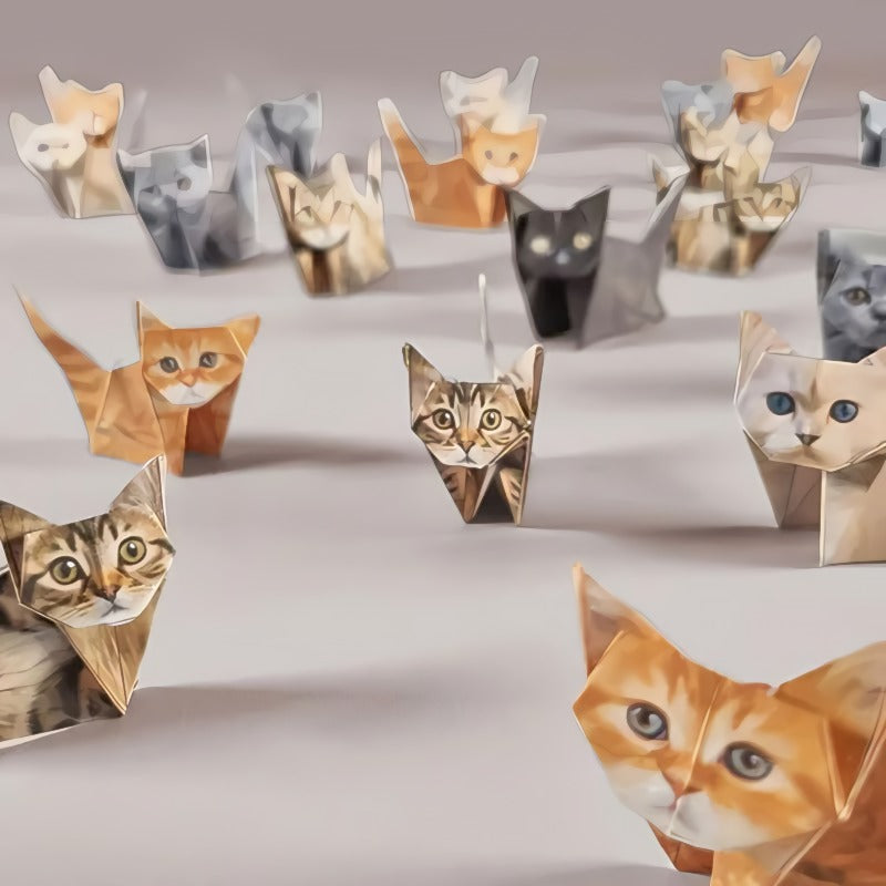 🐱 Papier pliable 5 minutes (50 pièces) : sans colle ni ciseaux