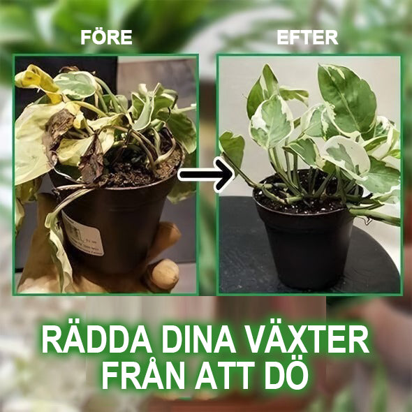 🍀Magiskt hydroponiskt flytande gödselmedel🌱