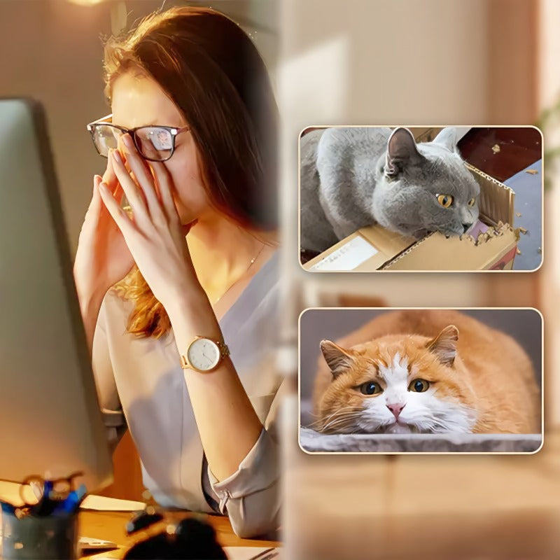 🐱 Interaktiv katthoppboll med fjäder