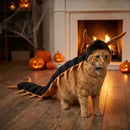 Halloween-kattdräkten