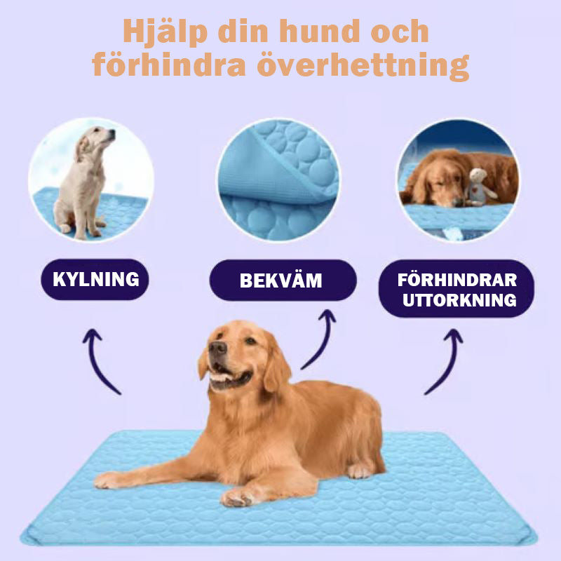 🧊Kylmatta för hundar (4x effektivare)