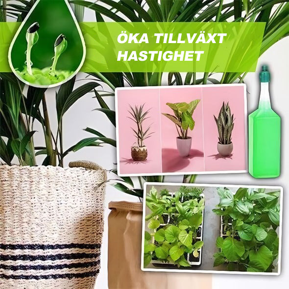 🍀Magiskt hydroponiskt flytande gödselmedel🌱