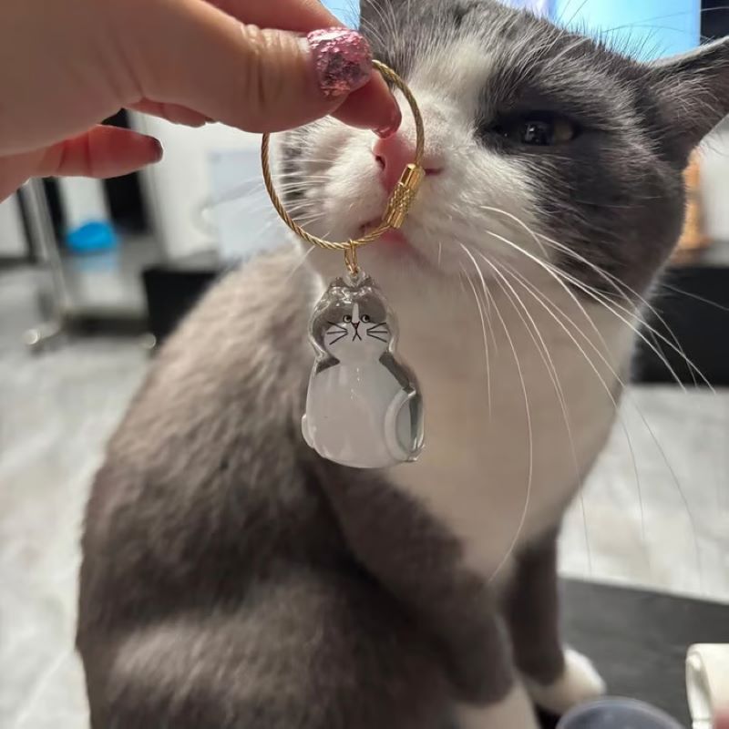 😽Söt katthårsmedaljong🎁