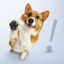 Osynliga skor för hundar (skyddande tassar)