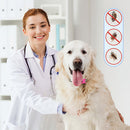 Maskskyddshalsband mot husdjur