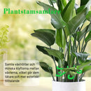 🌿Stödset för växtstammar