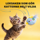 Den automatiska jojon som gör katter galna