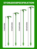 Trädgårdsblommor Blomstöd Enkelstångsstöd