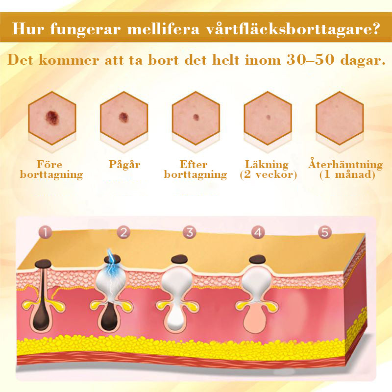 Koncentrerad reparationskräm med bigift