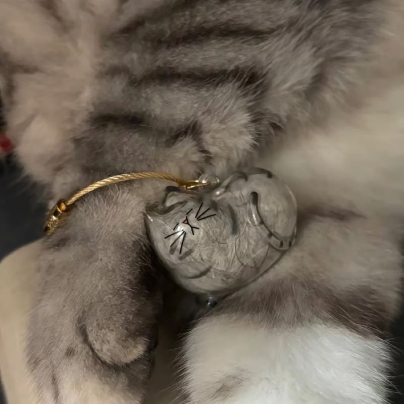 😽Söt katthårsmedaljong🎁