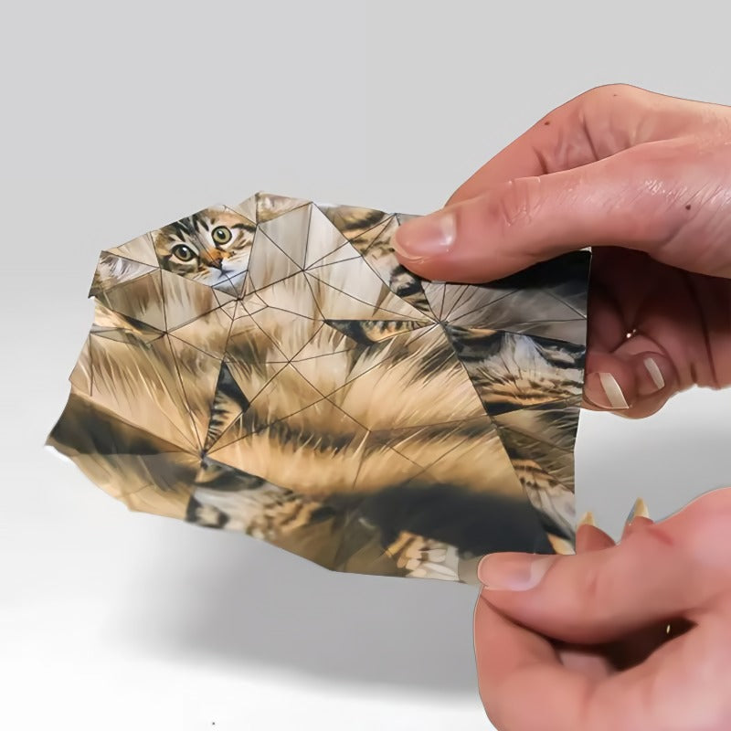 🐱 Papier pliable 5 minutes (50 pièces) : sans colle ni ciseaux