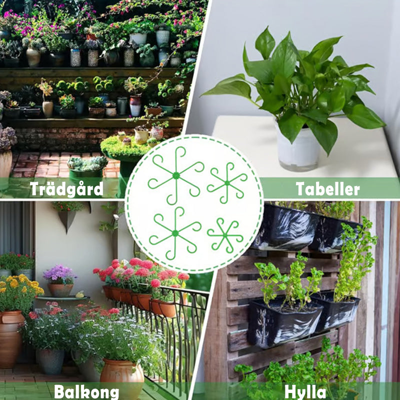 🌿Stödset för växtstammar