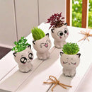 Mini katt skrivbordsblomkruka