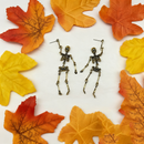 🔥Guldfärgade skelettörhängen