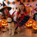 Halloween-kattdräkten