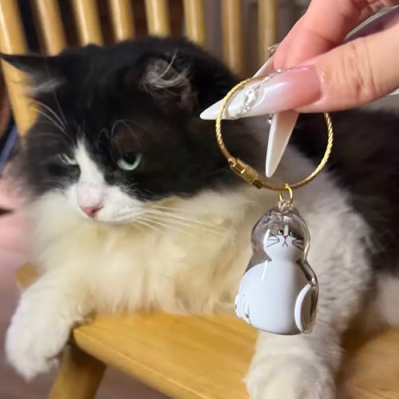 😽Söt katthårsmedaljong🎁