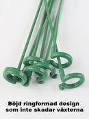 Trädgårdsblommor Blomstöd Enkelstångsstöd