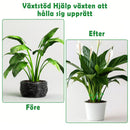 🌿Stödset för växtstammar