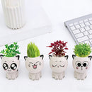 Mini katt skrivbordsblomkruka