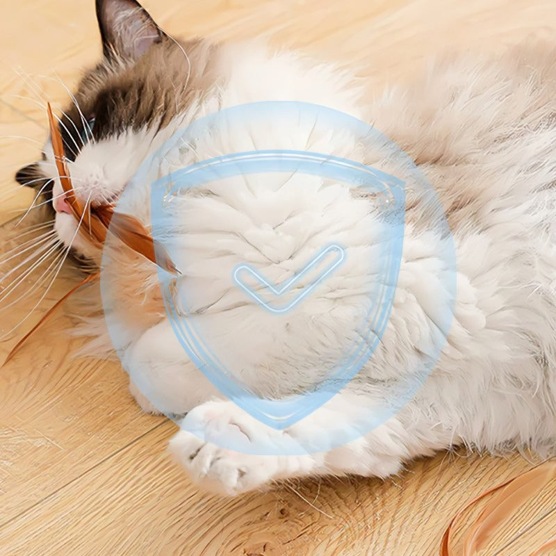 🐱 Interaktiv katthoppboll med fjäder