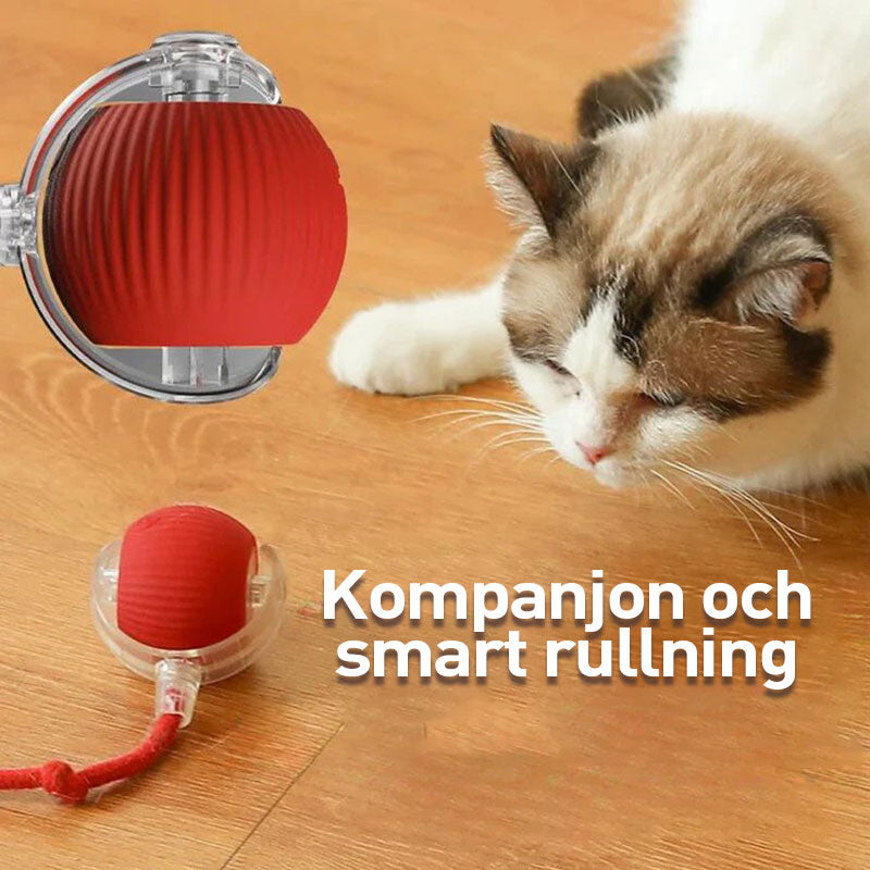 Smart kattboll